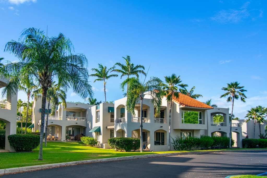Palms At Wailea Apartman Kültér fotó